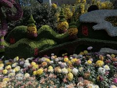 -杭州植物园