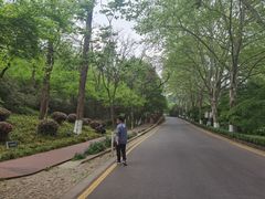 -菊花台公园