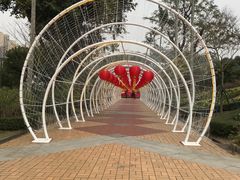 -石排湾郊野公园