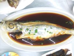 酱汁鳓鱼-阳光海鲜大排档