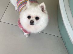 -怪兽屋·羊驼·猫咖·狗咖(俊华广场店)