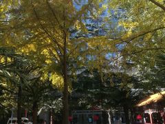 -中国人民解放军总医院(301医院)