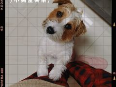 -宝发园名菜馆