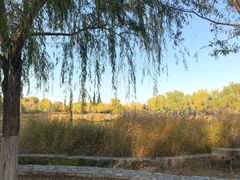 -永定河休闲森林公园