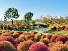 -花开海上生态园