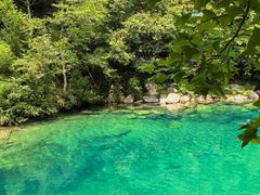 -石台牯牛降景区