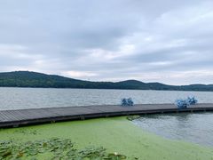-水上明月·湖景餐厅