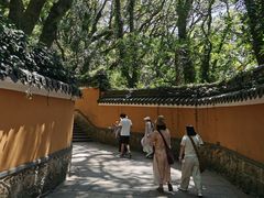 -普陀山风景名胜区-法雨禅寺