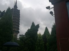 -正顺饸饹馆(中土商务楼店)