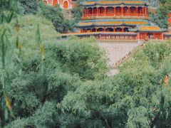 -颐和园