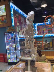 -卡通尼乐园(武汉凯德1818店)