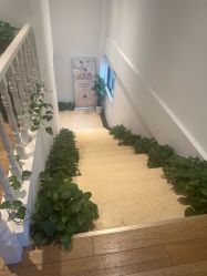 -Dr.林醫生产后修复·配方产康店(南京大厂店)