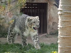 -青藏高原野生动物园