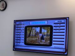 -北京观赏动物医院·24小时大型综合·猫专科·异宠专科