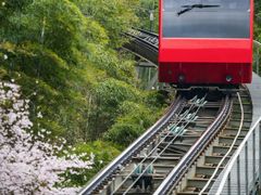 -镇江市南山风景名胜区竹林景区