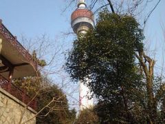 -龟山风景区-龟山电视塔