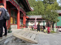 -宫事颐庭·老佛爷贵寿下午茶(颐和园店)