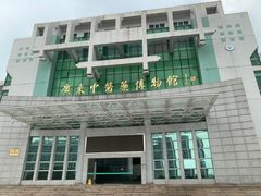 -广东中医药博物馆