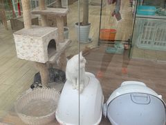 -狗不理喵子(百富路店)