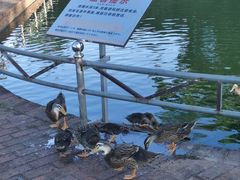 -侯臣咖啡文化村