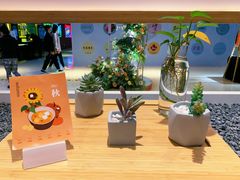 -炖物24章·顺时轻养茶(黄龙店)