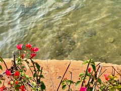 -海花岛旅游度假区