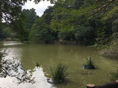 景点-井之头恩赐公园