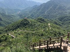-大岭沟猕猴桃谷风景区