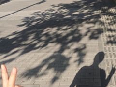 -廊坊市自然公园