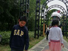 -金山农民画村-枫泾波兰倒置屋