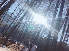 -硗碛藏寨·神木垒景区