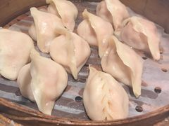 驴肉元葱蒸饺-老边饺子馆(中街店)