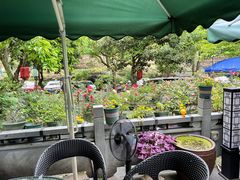 -阿巧茶庄