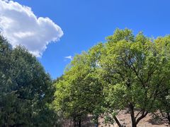 -北京鹫峰国家森林公园