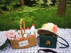 -上海共青森林公园