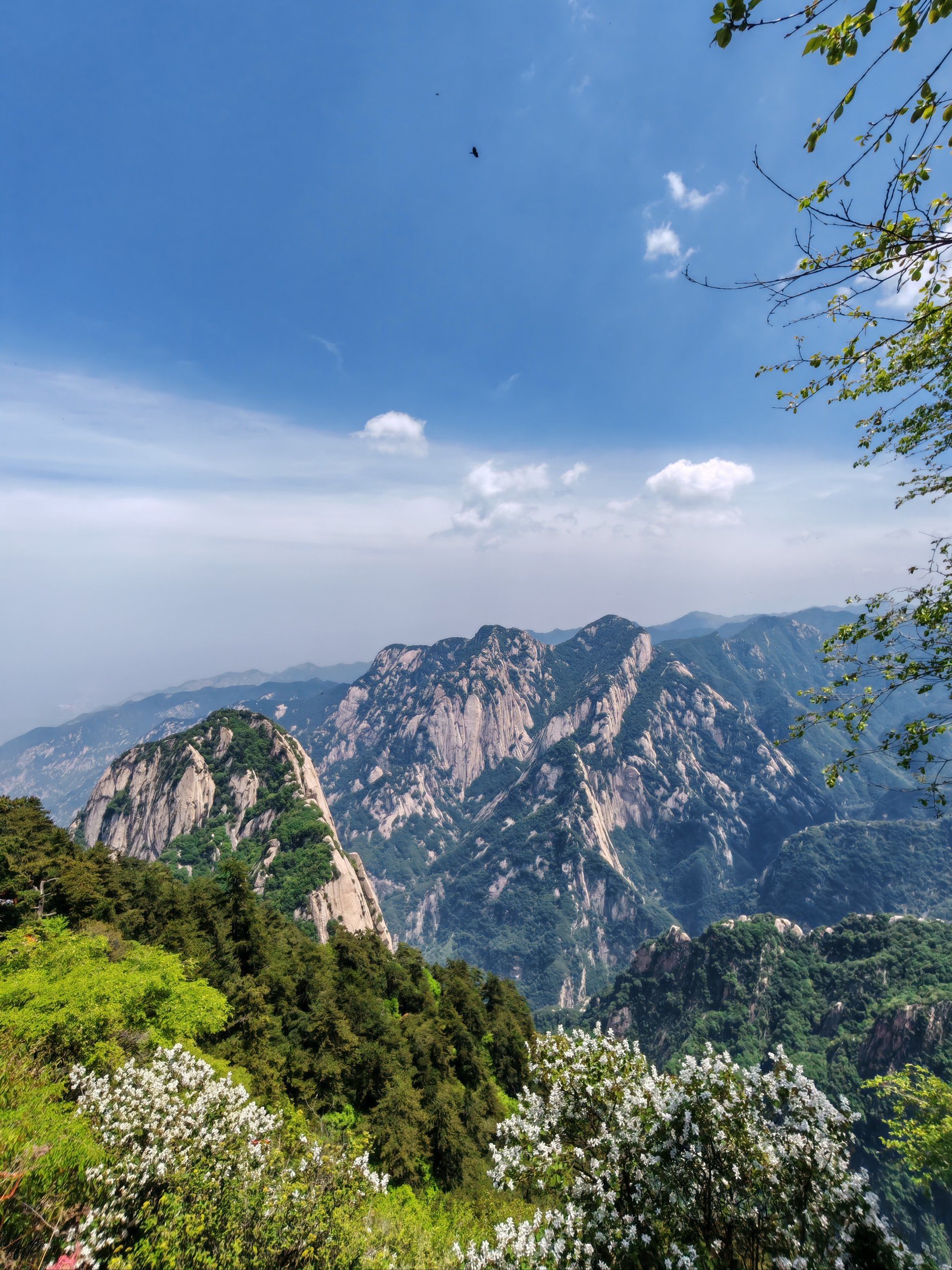 山巅远眺的风景