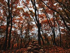 -帽儿山风景区