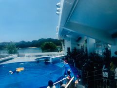-西海国立公园九十九岛水族馆