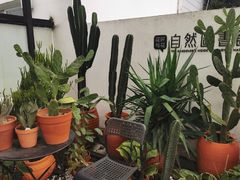 -南山植物园