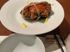 -觀芷隐轩