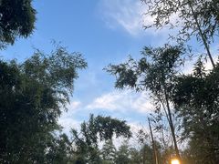 -青龙山国家森林公园