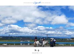 -龙里油画大草原旅游区