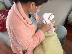 -田螺阿姨自营月嫂·育儿嫂(高新店)