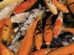 -泉州海丝野生动物世界