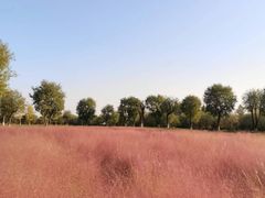 -汉长安城未央宫国家考古遗址公园