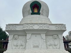-西塔