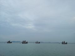 -贡湖湾湿地公园