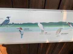 -福田红树林生态公园