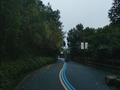 -杭州半山国家森林公园