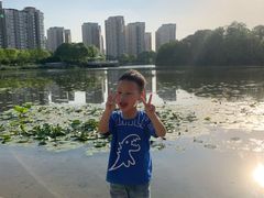 -新江湾城公园